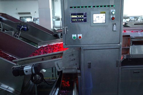 全面革新，智造美味 探秘嘉華食品花工廠技術升級之道